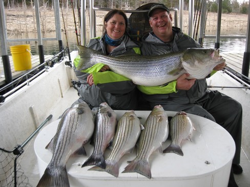 Nice Striped Bass